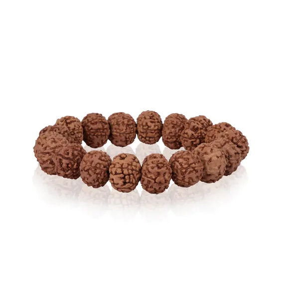 7_Mukhi_Rudraksha_Bracelet